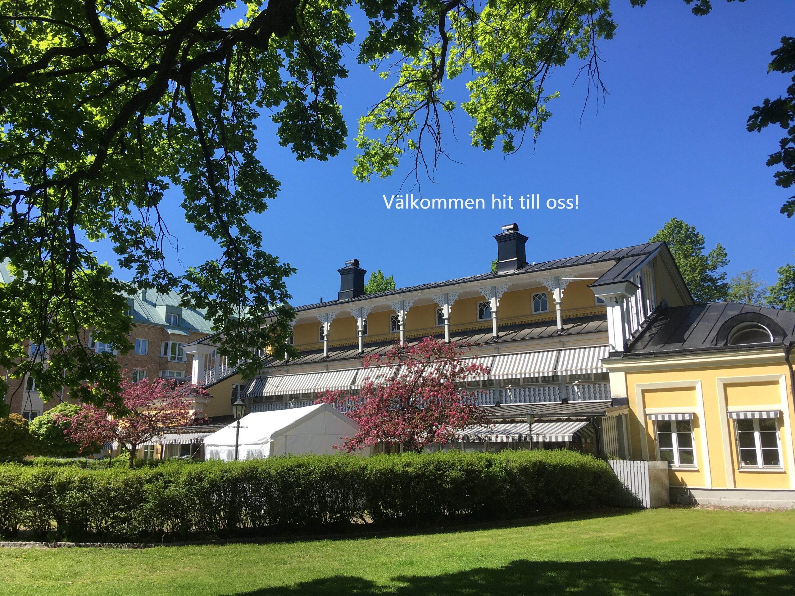Kurslokal, Ahlstrands Praktik omgiven av grönska