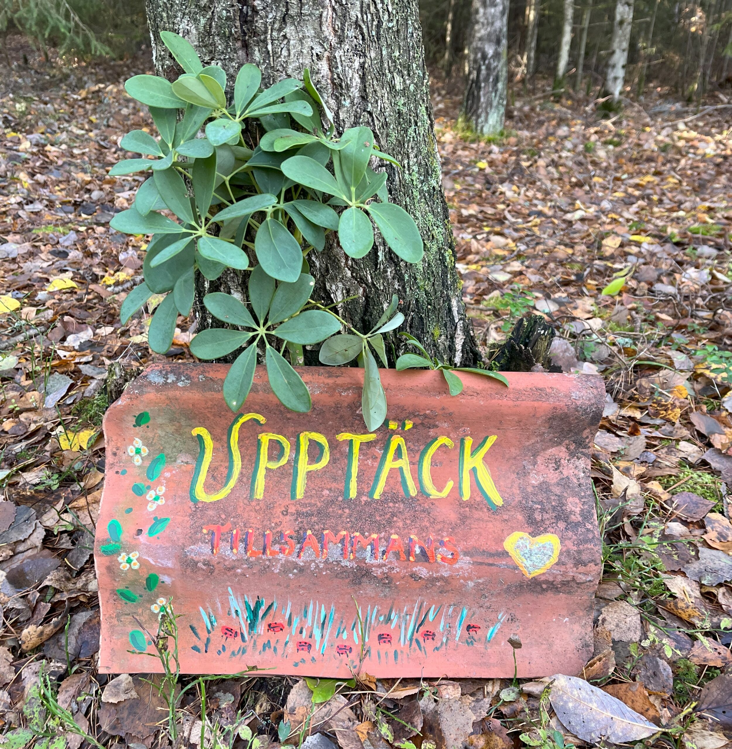 Takpanna med text: "upptäck tillsammans" , lutad mot träd